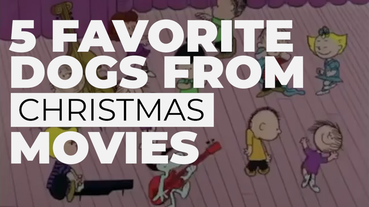 5 Favorite Dogs from Christmas Movies YouTube