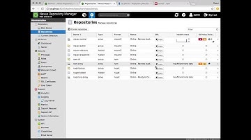 Nexus Firewall Demo with Browser