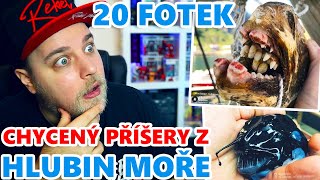 20 FOTEK CHYCENÝCH PŘÍŠER Z HLUBIN MOŘE