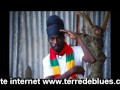 Terre de Blues 2017 - SIZZLA AUDIO