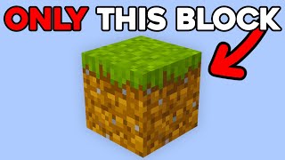 I Spent 100 Days on ONE BLOCK in Minecraft