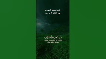 #القارئ #محمد_اللحيدان