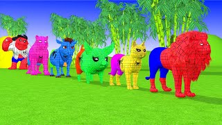 Paint Animals Spider Man Lion Cat Pig Cow Gorilla Tiger Dinosaur Fountain Crossing Animals