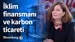 İklim finansmanı ve karbon ticareti - Enerji Gelecek | 12.04.2021