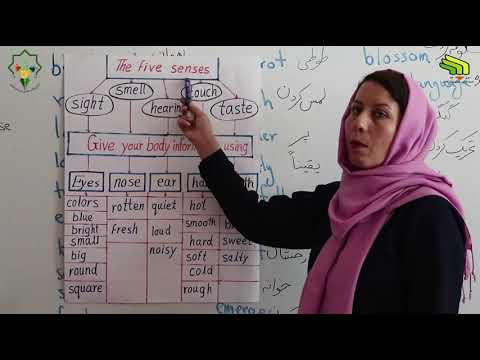 انگلیسی صنف نهم درس 14 Five Senses