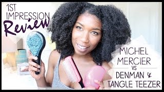 Michel Mercier Detangling Brush Vs. Denman Tangle Teezer Thick Curly Natural Hair