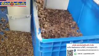 Techik color sorter for walnut shell and kernel sorting
