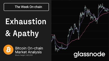 Bitcoin Investor Exhaustion and Apathy - The Week On-chain - Week 33, 2023 (Onchain Analysis)