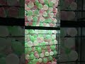 candys