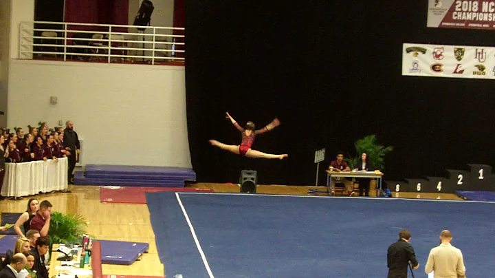 Amy Enright UW La Crosse Floor