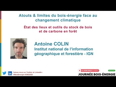 Etat des lieux et outils du stock de bois et de carbone en forêt par Antoine COLIN (IGN)