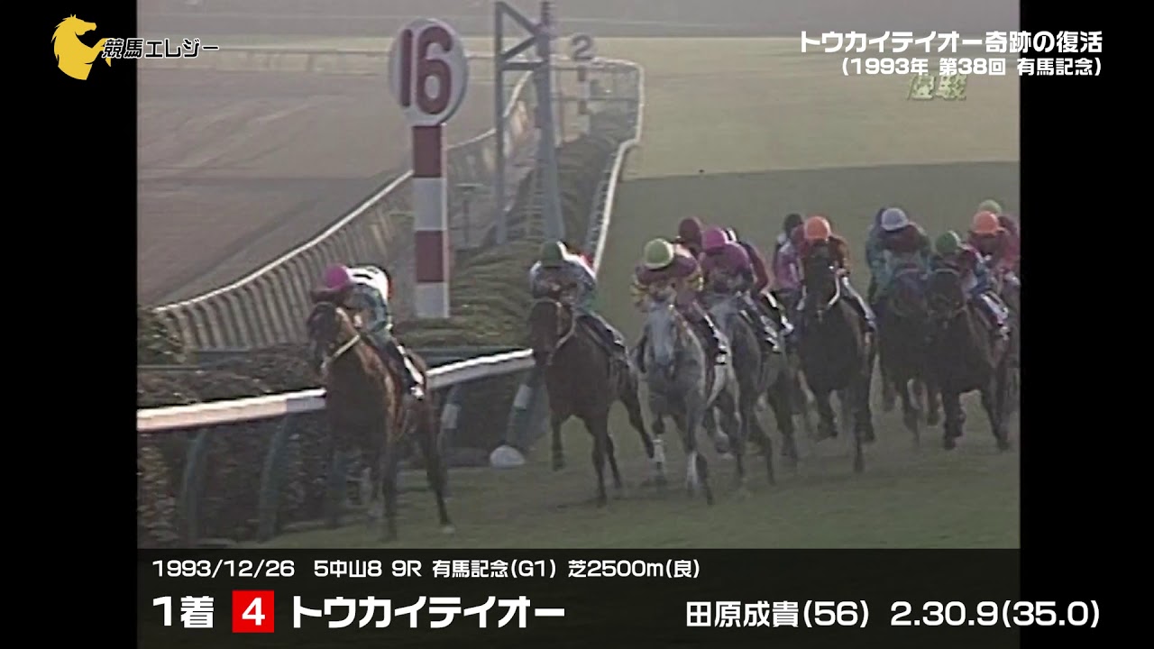 ビワハヤヒデ 1993年 第38回有馬記念(GI) (優勝馬：トウカイテイオー 