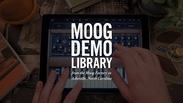 Model D iOS App | Gestures Explained