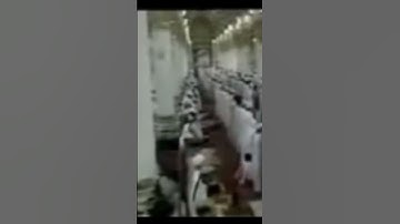 ( فلنقصن عليهم بعلم) تلاوة جميلة للشيخ: حسين آل الشيخ~ الحرم النبوي.