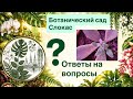 Ответы на вопросы