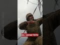 🔥ПІХОТА – СИЛА! Суворі ФРОНТОВІ РЕАЛІЇ наших захисників #shorts