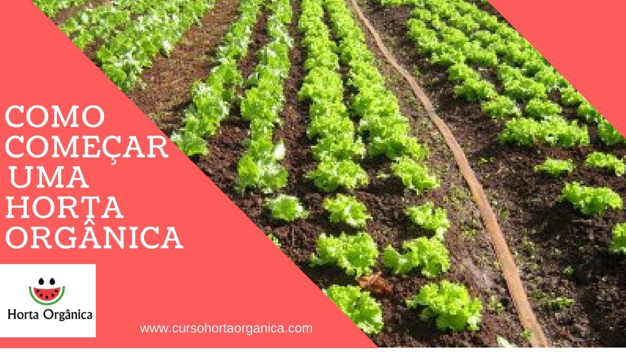 COMO COMEÇAR UMA HORTA ORGÂNICA BEM FÁCIL