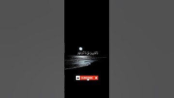قرآن كريم بصوت جميل | القارئ الشيخ ماهر المعيقلي