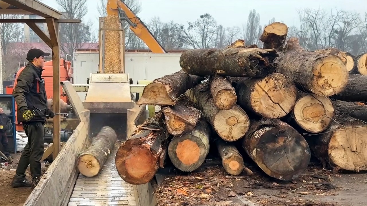 Satisfying Wood Chipping Compilation 24/7