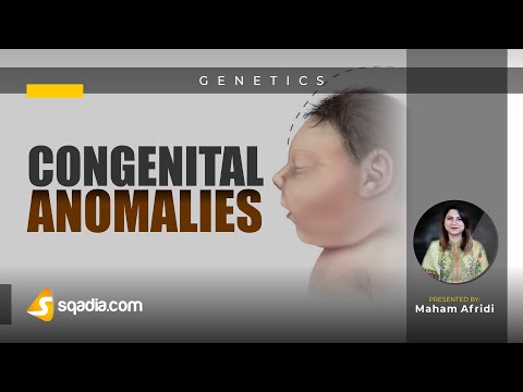 Video: Vil der være medfødte misdannelser i 2020 på grund af coronavirus