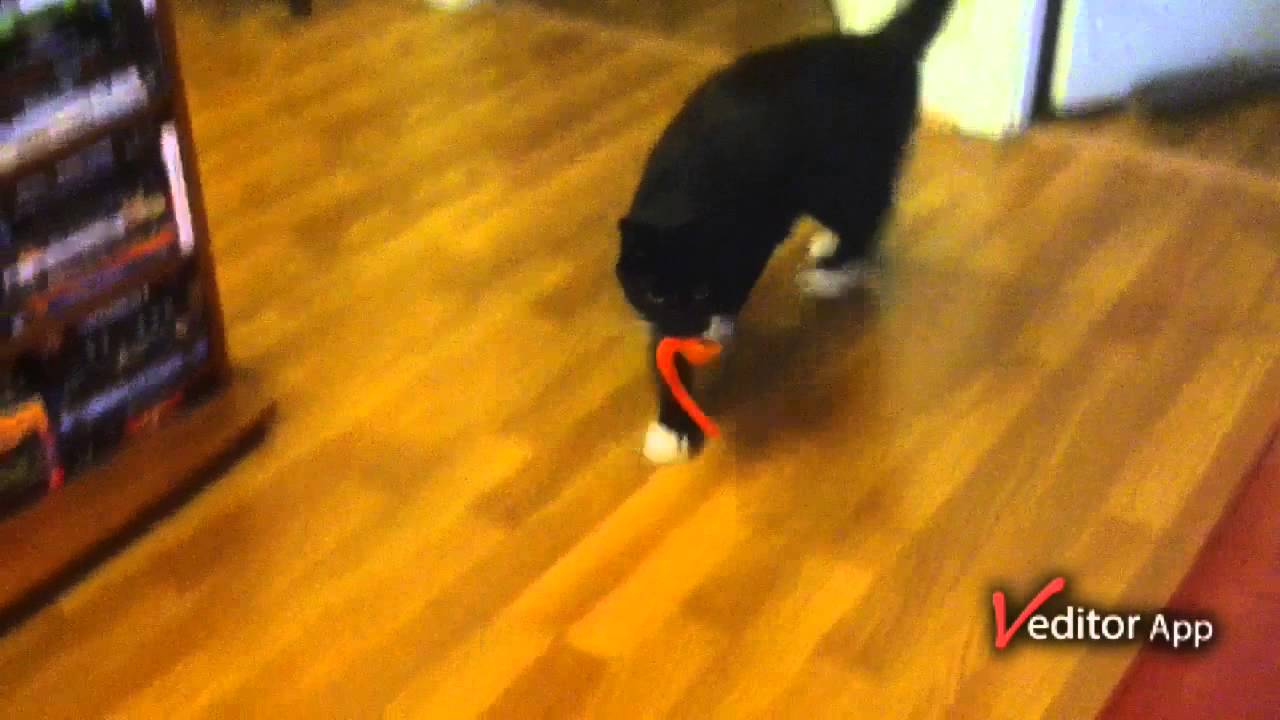 Spazzing out over toy! YouTube