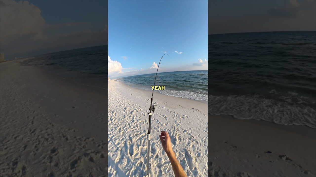 I had 2 fish bite at the same time! #fishing #fish #fishingdaily