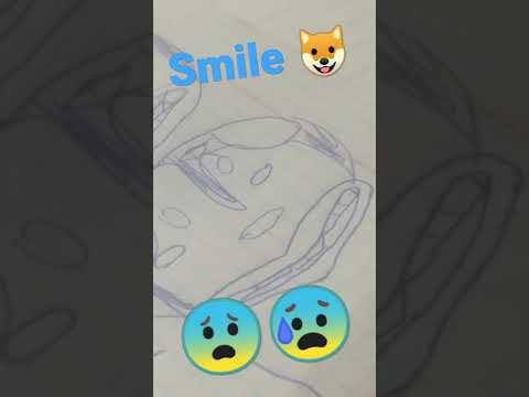 смайл дог/smile dog