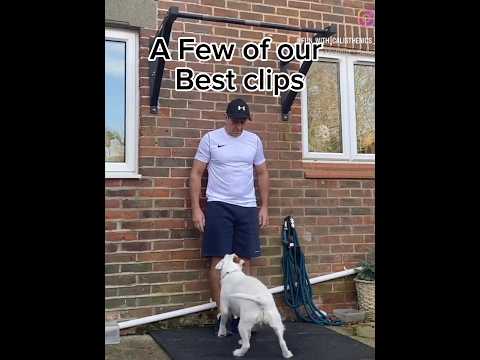 Tribute To Buddy Xxx