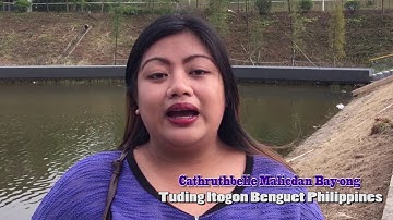 RAY Education Pilipinas - Neusoft Program