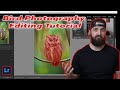 Lets edit a screech owl in lightroom  bird photography tutorial