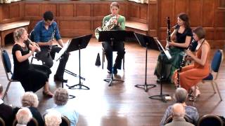 Bizet - Habanera & Carmen Fantasia from Carmen Suite - Vesuvio Wind Quintet
