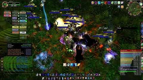 Healing Zul Gurub
