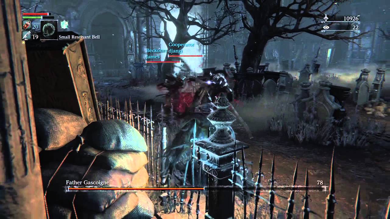 Bloodborne™ fighting as the crow