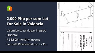 2,000 Php Per Sqm Lot For Sale In Valencia