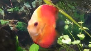 L and L pet store tour in emporia ks