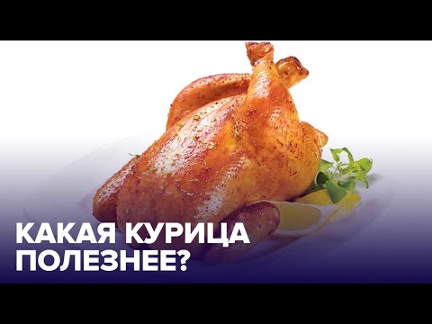 Правда и мифы о КУРИЦЕ: какая ПОЛЕЗНЕЕ?