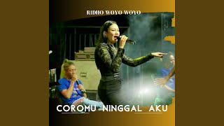 Download Lagu Coromu Ninggal Aku