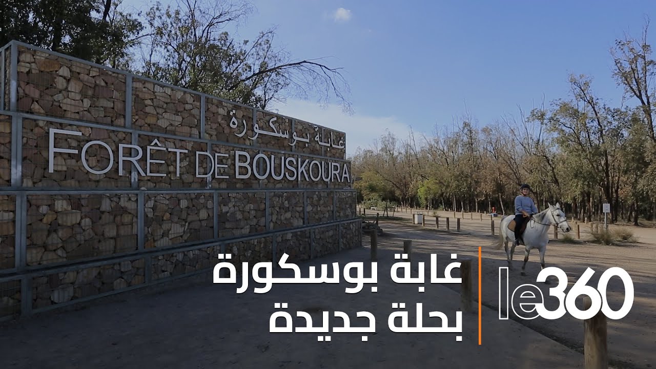 غابة بوسكورة بضواحي الدار البيضاء تستعيد رونقها بعد شهور من الإهمال