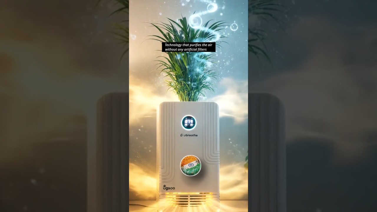 This Indian Plant Tech Cleans Air 20× Faster