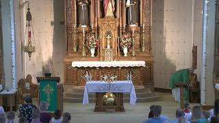 Sunday July 5, 2026  --  Fourteenth Sunday in Ordinary Time