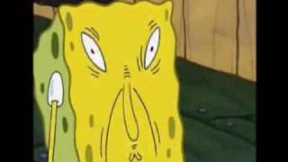 wallpapers Spongeward youtube
