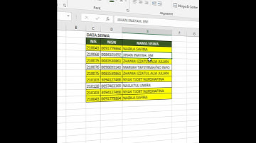 CARA HAPUS DATA GANDA DI EXCEL