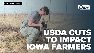 Iowa farmers reeling from sudden $11 million USDA program ax