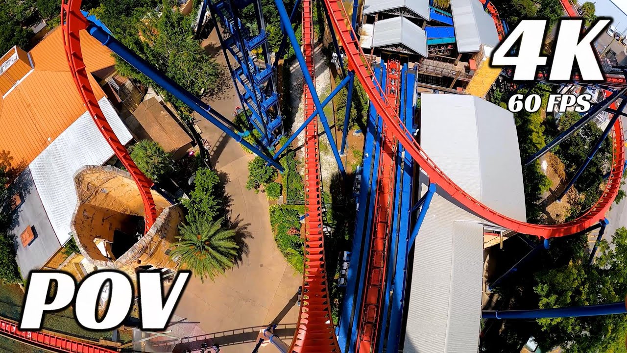 SheiKra Front Row POV Ride at Busch Gardens Tampa Bay on Roller