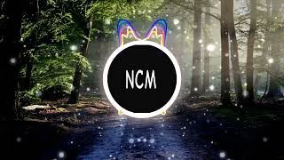 Sunny Travel [NO COPYRIGHT MUSIC]