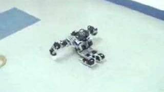 Humanoid robot falling down and getting up