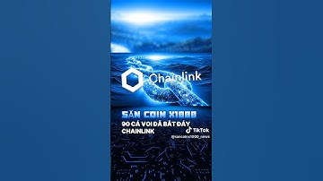 cực nóng 90 CÁ VOI ĐÃ BẮT ĐÁY CHAINLINK