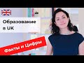 Образование и работа в Великобритании: цифры и факты | Post-study work visa | Global Career Degree