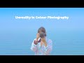 Unreality in colour photography with teresa freitas