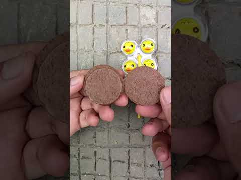 biscuit chocolate Sprinkles